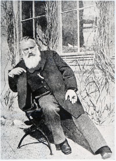 Johannes Brahms by Austrian Photographer